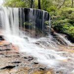 Wild Kangaroos, Blue Mountains and a Cruise - What the Reviews Say
