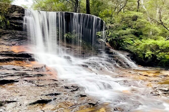 Wild Kangaroos, Blue Mountains and a Cruise - What the Reviews Say