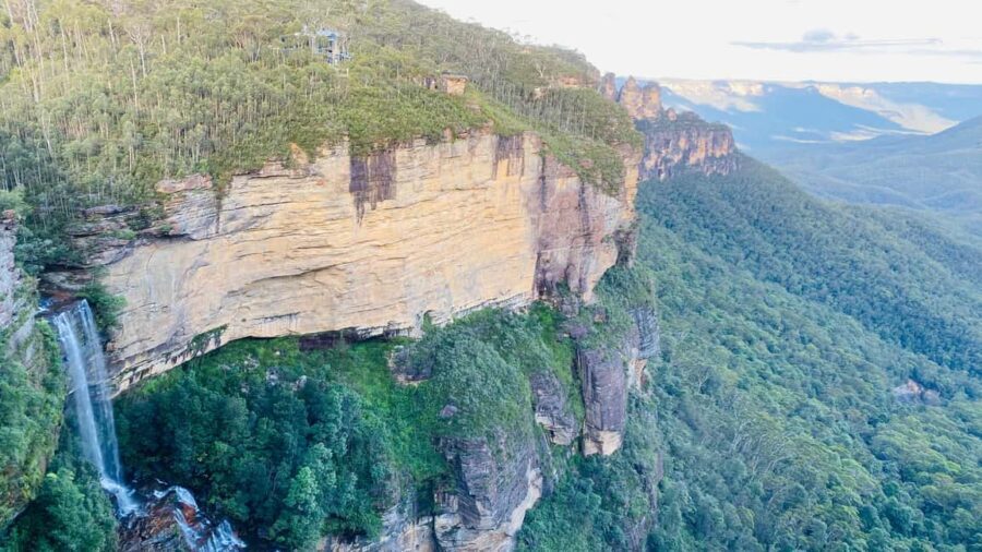 Wild Kangaroos & Blue Mountains private tour - The Sum Up