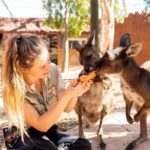 WILD LIFE Sydney Entrance Ticket - Practical Tips for Visiting WILD LIFE Sydney
