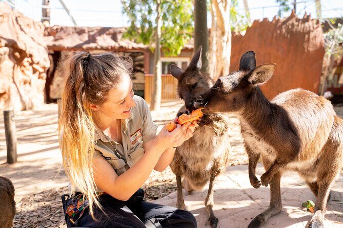 WILD LIFE Sydney Entrance Ticket - Practical Tips for Visiting WILD LIFE Sydney