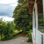 Wild nature of Western Georgia - What Makes This Tour a Great Deal?