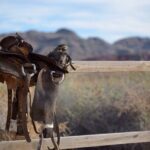 Wild West Sunset Horseback Ride with Dinner from Las Vegas - An In-Depth Look at the Experience