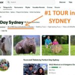 WILD Wombat and Kangaroo Day Tour, All Inclusive - An In-Depth Look at the Tour Experience