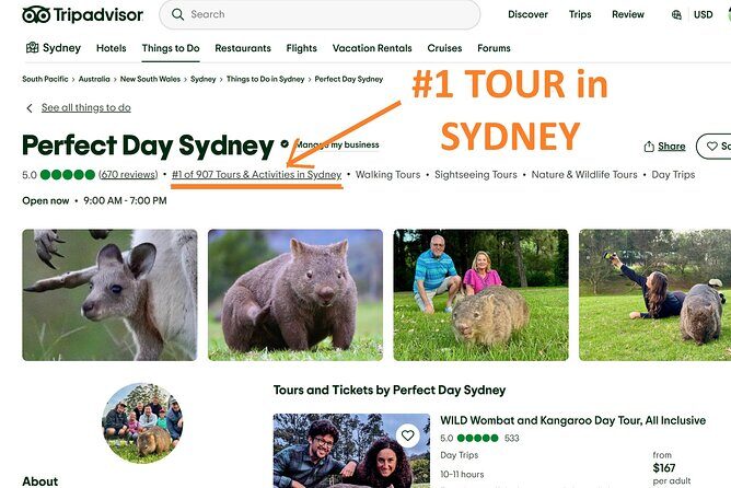 WILD Wombat and Kangaroo Day Tour, All Inclusive - An In-Depth Look at the Tour Experience
