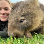 WILD Wombats and Kangaroo Experience, All Inclusive, Sydney - Who Will Love This Tour?