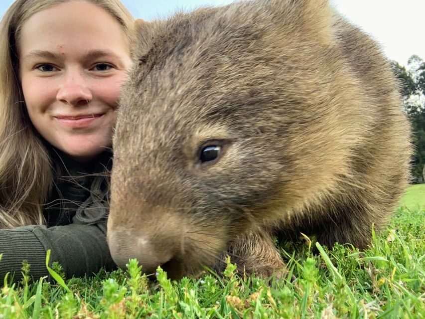 WILD Wombats and Kangaroo Experience, All Inclusive, Sydney - Who Will Love This Tour?