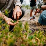 Wild Yarnbala - An In-Depth Look at Wild Yarnbala