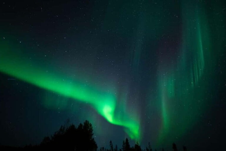 Wilderness Adventure by Snowmobile Sleigh - Final Thoughts: Who Should Consider This Tour?