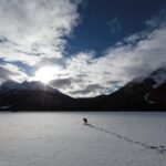 Wilderness and Wildlife Hiking Tour - 3hr Hike - Exploring Alberta’s Hidden Gems