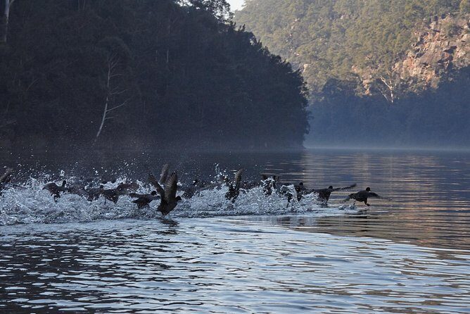 Wilderness kayak adventure with gourmet food - Who Is This Tour Best For?