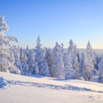 Wilderness Survival Tour - Winter - FAQ
