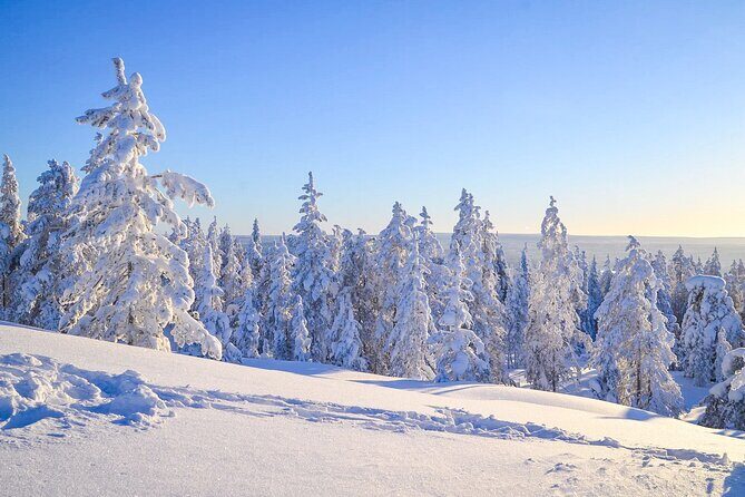 Wilderness Survival Tour - Winter - FAQ