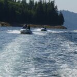 Wilderness Zodiac Quest - Final Thoughts