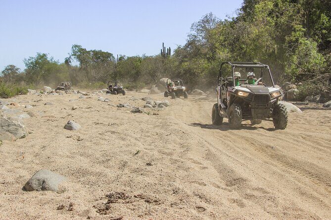 Wildest Adventure: Zip Lines, Free Falls, and Off-Road Thrills - Practical Aspects and Considerations