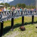 Wildlife Conservation Center and Portage Glacier Lake Viewing - Who This Tour Suits Best