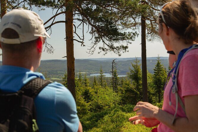 Wildlife Forest Hike - A Deep Dive into the Wilderness Experience