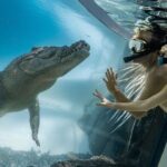Wildlife Habitat Port Douglas - FAQs