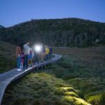 Wildlife Night Spotting at Cradle Mountain - The Sum Up