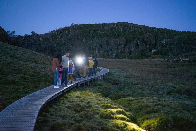 Wildlife Night Spotting at Cradle Mountain - The Sum Up