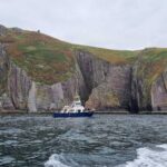 Wildlife Tour - Itinerary Breakdown: What You’ll Experience
