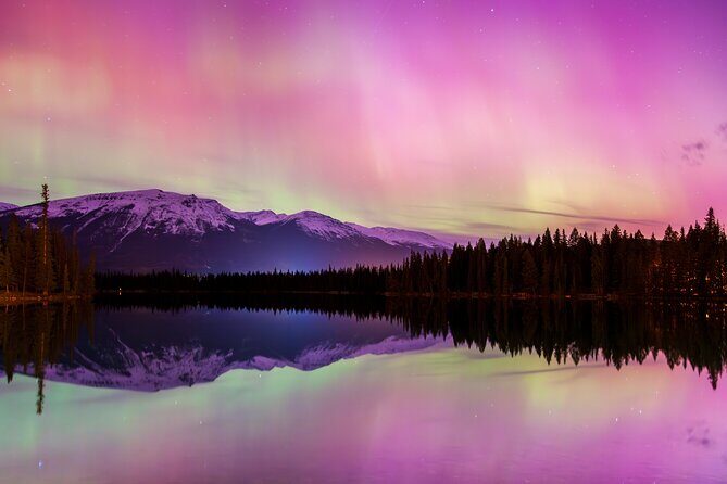 Wildlife Wild Skies: Jasper Planetarium Combo - Who Is This Tour Best For?