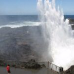 Wildlife, Wine & Waves  Epic South Coast Adventure from Sydney - Who Should Book This Tour?