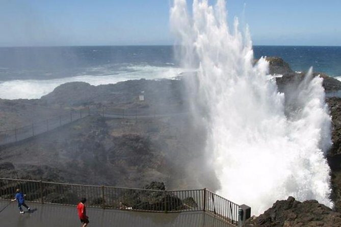 Wildlife, Wine & Waves  Epic South Coast Adventure from Sydney - Who Should Book This Tour?