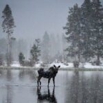 Wildside 4X4's Winter Wonderland Photo Tour - The Sum Up