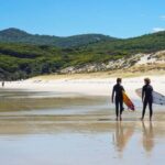 Wilson's Promontory National Park Day Tour From Melbourne - Why You Should Consider This Tour