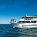 Wilsons Promontory: Whale Spotting Cruise with Lunch - The Experience in Detail