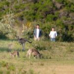 Wilsons Promontory Wilderness Day Tour - What We Love About This Tour