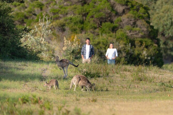 Wilsons Promontory Wilderness Day Tour - What We Love About This Tour