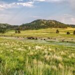 Wind Cave National Park Self-Guided Audio Tour - A Closer Look at the Itinerary