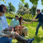 Wine and Cheese Tasting Tour in Cheddar Valley - Exploring Somerset’s Natural Wines and Cheddar’s Cheese