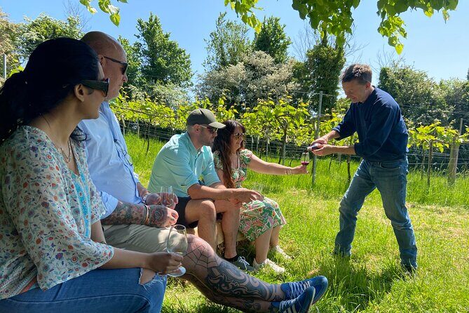Wine and Cheese Tasting Tour in Cheddar Valley - Exploring Somerset’s Natural Wines and Cheddar’s Cheese