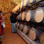 Wine and Culinary Adventure in Jeruzalem - Full Day Tour from Ljubljana or Ptuj - Why This Tour Offers Great Value