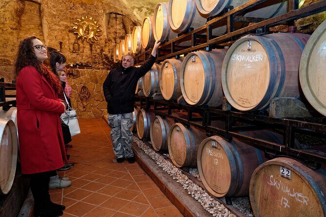 Wine and Culinary Adventure in Jeruzalem - Full Day Tour from Ljubljana or Ptuj - Why This Tour Offers Great Value