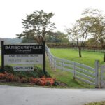 Wine and Culinary Delight Private Tour - Who Will Love This Tour?