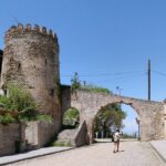 Wine and Culinary Tour in Kakheti Region - Transportation and Guides: Making It Seamless