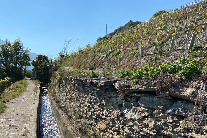 Wine and Dine Vineyard Walk in Sion - Authentic Perspectives from Past Participants