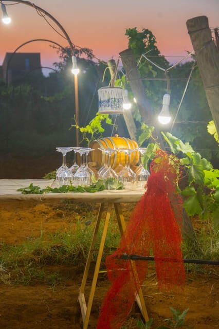 Wine and food at sunset - Who Will Love This Experience?