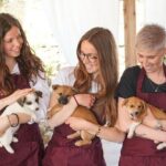 Wine and food tasting in an organic family winery - Practical Details