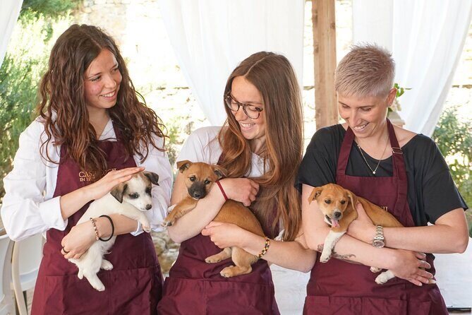 Wine and food tasting in an organic family winery - Practical Details