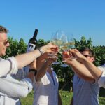 Wine and Food Tasting in the Vineyards in Lazise - A Deep Dive into the Wine and Food Tasting Experience