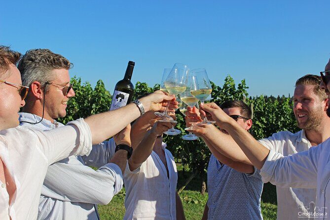 Wine and Food Tasting in the Vineyards in Lazise - A Deep Dive into the Wine and Food Tasting Experience