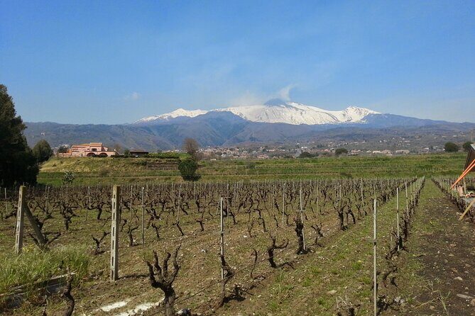 Wine and Lunch Tour - Who Will Love This Tour?