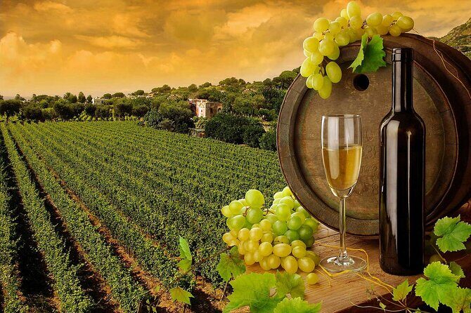 Wine Cheese and EVO Oil Tastings in Tuscany Full-Day from Rome - Final Thoughts: Is This Tour Worth It?