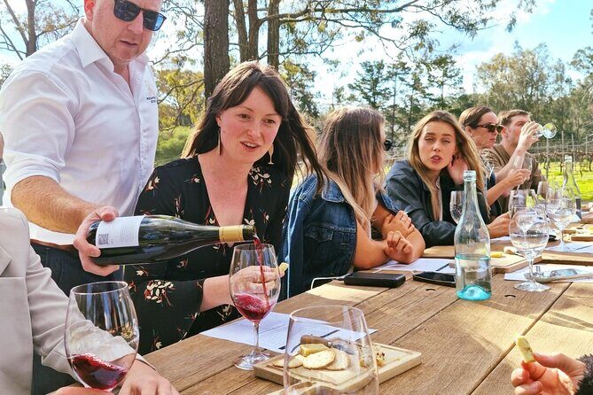 Wine & Cheese Tasting Experience in Hunter Valley - The Sum Up: Is It Worth It?