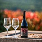 Wine Degustation in the Heart of Slovenian Istria - The Sum Up